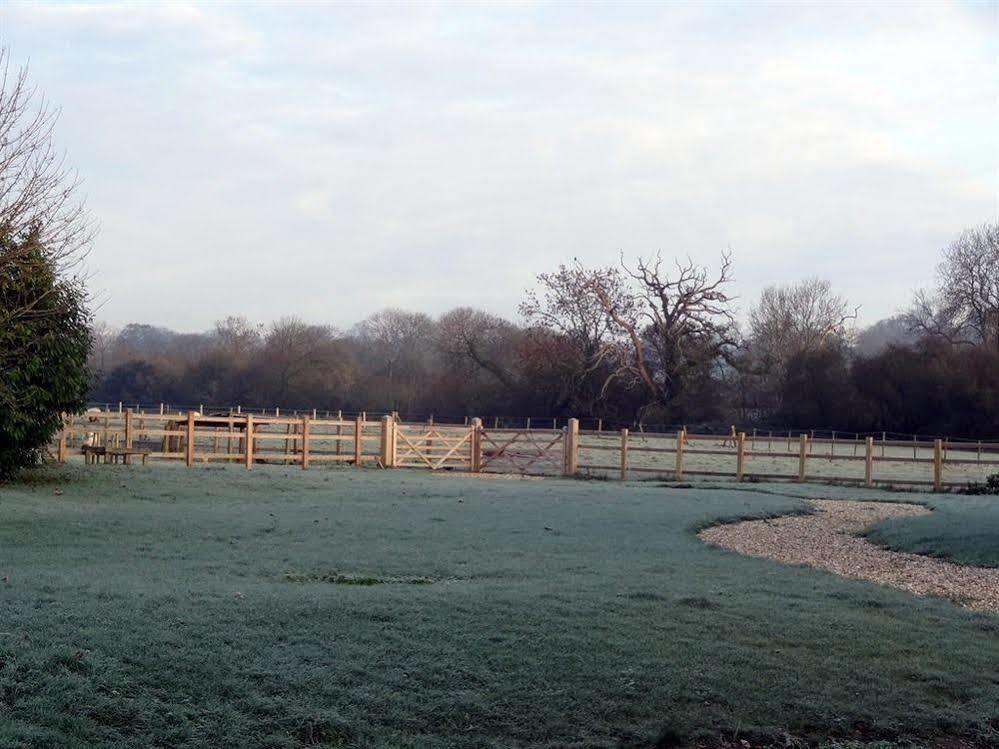 Huxham Farmhouse Bed and Breakfast East Pennard Exteriör bild