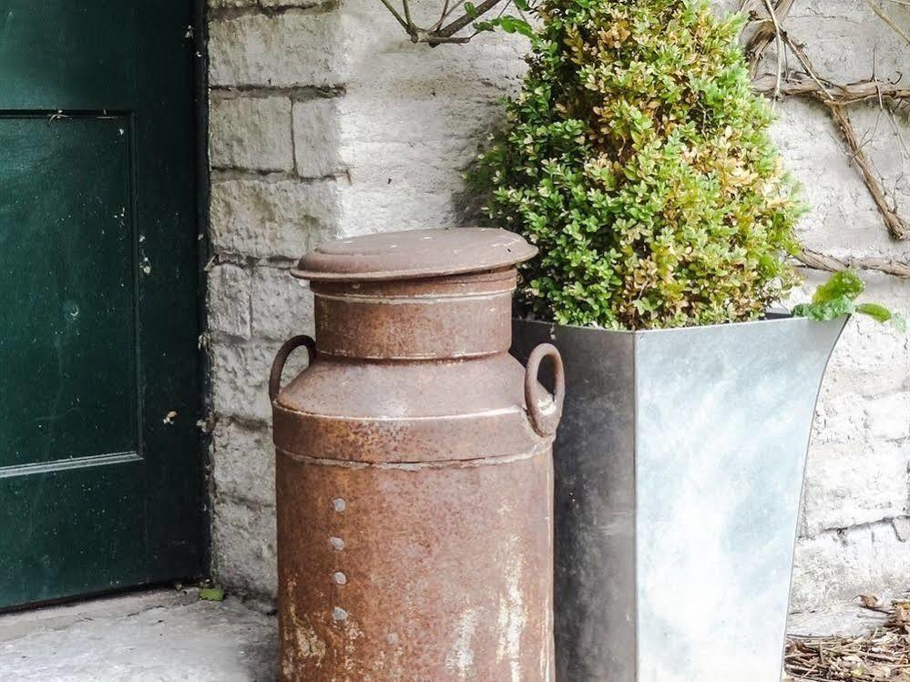 Huxham Farmhouse Bed and Breakfast East Pennard Exteriör bild
